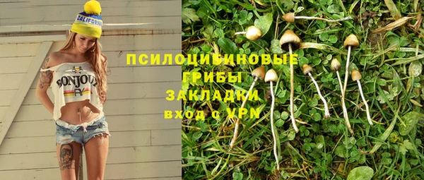 мяу мяу мука Алексин