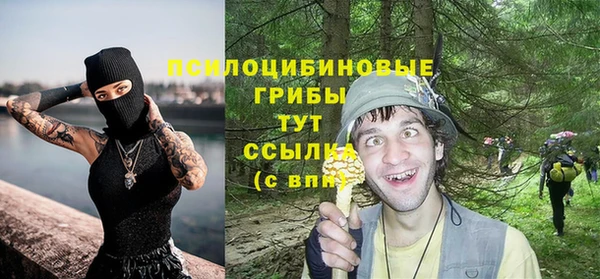 гидропоника Алексеевка