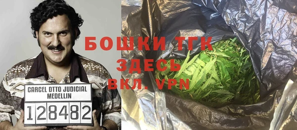 соль ск Алзамай