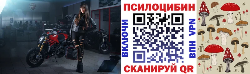 Псилоцибиновые грибы GOLDEN TEACHER  закладка  Лаишево 